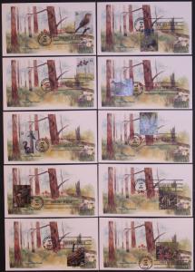 #3611 Longleaf Pine Forest Edken FDC Set