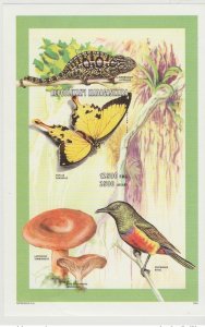 Madagascar 1998 Mi. Bl. 280B Butterfly Butterfly Mushroom Mushroom Bird Bird-