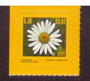 Estonia Sc560 2007 flower Euro added stamp NH