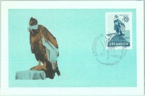 87604 - ARGENTINA - Postal History - MAXIMUM CARD -  BIRDS  1960  Condor