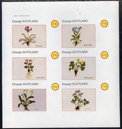 Grunay 1982 Flowers #01 (Oxytropia Ballis, etc) imperf se...