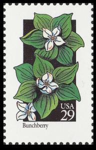 US 2675 Wildflowers Bunchberry 29c single MNH 1992