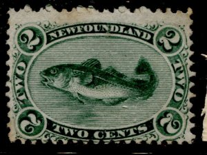 Newfoundland #24 Codfish MNG CV$130.00