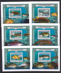 Guinea 2009 Fish 6 S/Sheets Deluxe Edition MNH