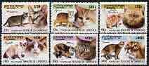 CAMBODIA  - 2001 - Domestic Cats - Perf 6v Set - Mint Never Hinged