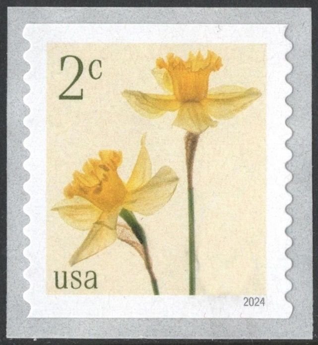 SC#5903 2¢ Daffodils Coil Single (2024) SA