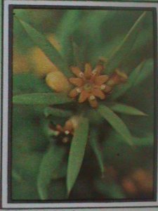 ​CUBA-1990- LOVELY BEAUTIFUL WILD FLOWER-MNH VF LAST ONE HARD TO FIND
