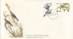 Belize 1985 FDC Scott #750, #751 White tailed kite, Cuvier's kinglet Audubon ...