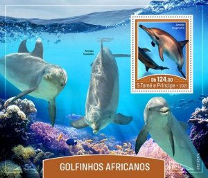 St Thomas - 2021 African Dolphins, Spinner - Stamp Souvenir Sheet - ST210517b