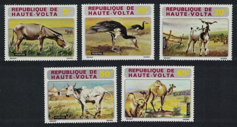 Upper Volta Donkeys Goose Birds Goat Dromedaries Animals 5v 1972 MNH