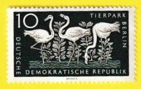 GERMANY DDR SCOTT#318 1956 10pf GREATER FLAMINGO - MNH