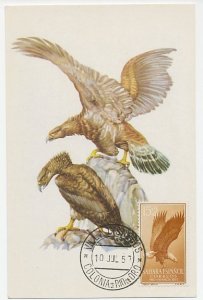 Maximum card Spanish Sahara 1957 Bird - Eagle