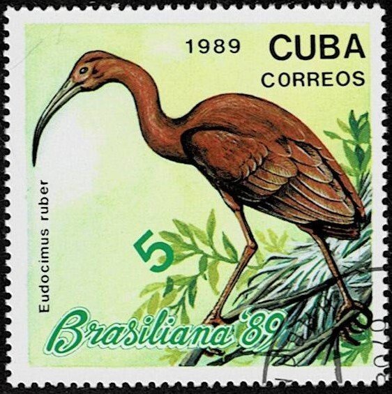 1989 Cuba Scott Catalog Number 3139 Used