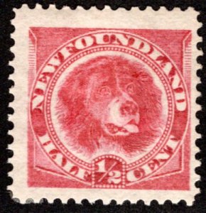 39, NSSC, Newfoundland, 1/2c, rose red, Newfoundland Dog, MLHOG, F