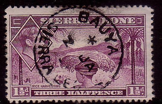 SIERRA LEONE 1950 GVI 1½d BAUYA cds........................................40279