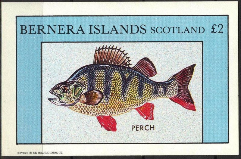 {B145} Bernera Scotland Fishes (1) Perch S/S 2£ MNH Cinderella !!