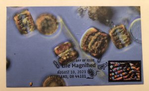 2023 Life Magnified FDC HAND CRAFTED FOLDED CACHET Microscope Moth Wing Scales