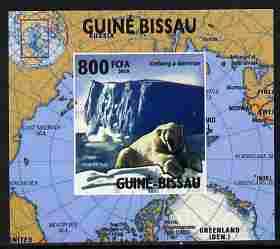 Guinea - Bissau 2010 Global Warming #2 - Polar Bear indiv...