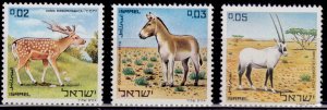 Israel,1971, Nature Reserve, Biblical Animals, MH