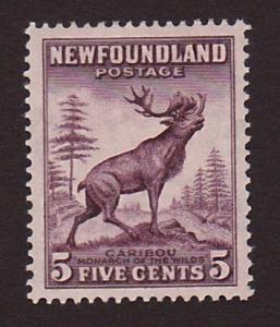 Newfoundland 190 VF MH