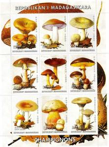 Malagasy 1999 MUSHROOMS Sheet (9) Perforated Mint (NH)