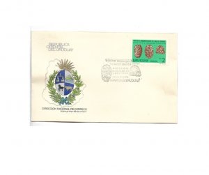 URUGUAY 1981 ARCHAEOLOGICAL RESCUE OF SALTO GRANDE ARCHAEOLOGY FDC COVER