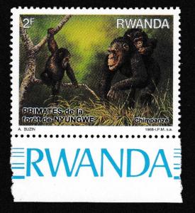 Rwanda Primates of Nyungwe Forest 1v SG#1316 SC#1306 MI#1389