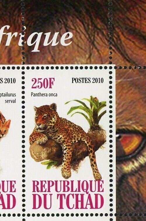 Africa Tiger Panthera Wild Animal Fauna Souvenir Sheet of 4 Stamps Mint NH