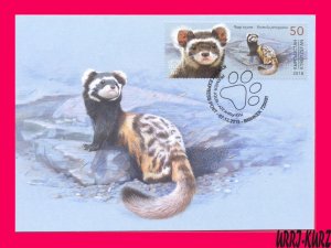 KYRGYZSTAN 2018 Nature Fauna Wild Animals Mammals Polecat Maxicard Maximum Card