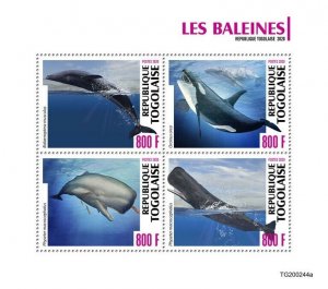 Togo Marine Animals Stamps 2020 MNH Whales Sperm Blue Killer Whale Orcas 4v M/S