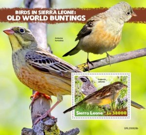 Sierra Leone - 2020 Old World Bunting Birds - Stamp Souvenir Sheet - SRL200628b