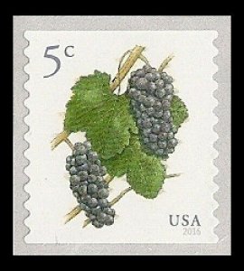 US 5038 Grapes 5c coil single (1 stamp) MNH 2016 