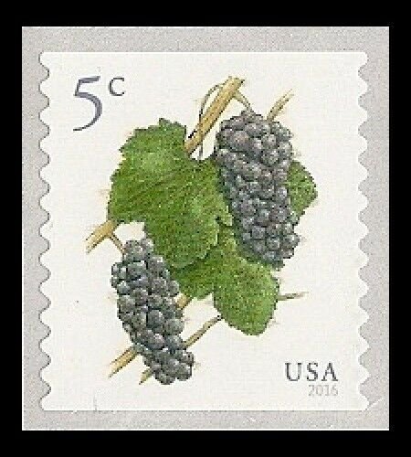 US 5038 Grapes 5c coil single (1 stamp) MNH 2016 