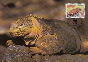 Ecuador 1992 Maxicard Sc #1286 100s Galapagos Land iguana WWF