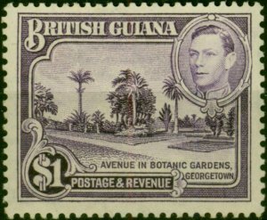 British Guiana 1951 $1 Bright Violet SG317a P.14 x 13 Fine MNH