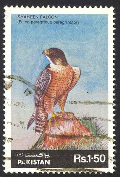 Pakistan Sc# 663 Used 1986 Shaheen Falcon