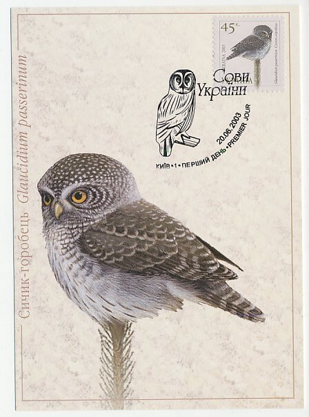 Maximum card Ukraine 2003 Bird - Owl