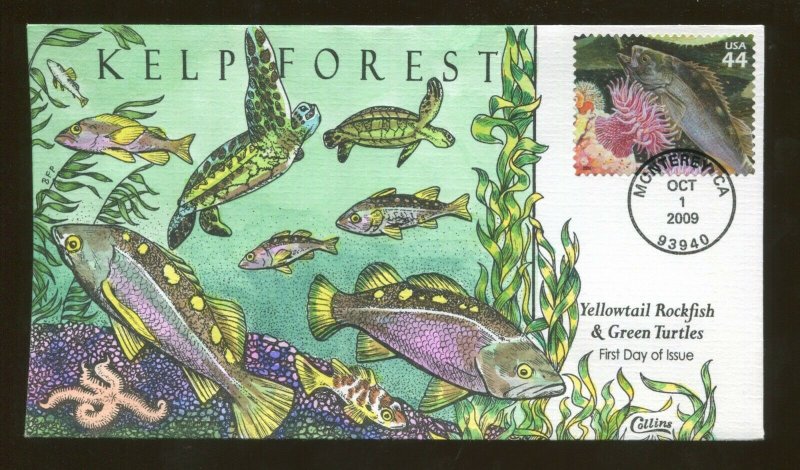 2009 Monterey California - Kelp Forest - Yellowtail Rockfish - Collins FDC 