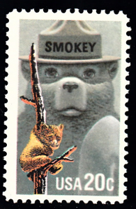 #2096 Smokey the Bear, Please see the description