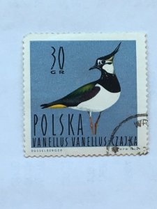 Poland–1964–Single “Bird” stamp–SC# 1231 - CTO