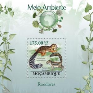 MOZAMBIQUE 2010 SHEET MNH RODENTS