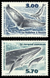 St. Pierre & Miquelon Whales 2000 Scott #690-691 Mint Never Hinged