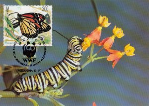 Mexico 1988 Maxicard Sc #1561 300p Monarch butterfly WWF