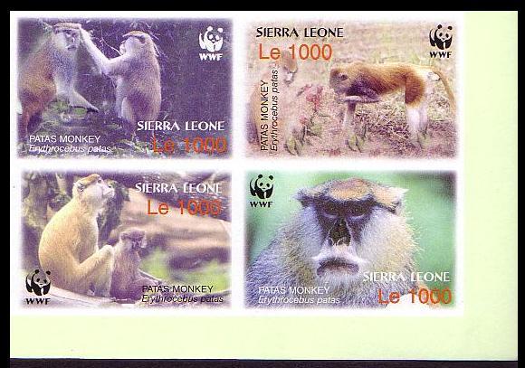 Sierra Leone WWF Patas Monkey 4 imperforated stamps in block 2*2