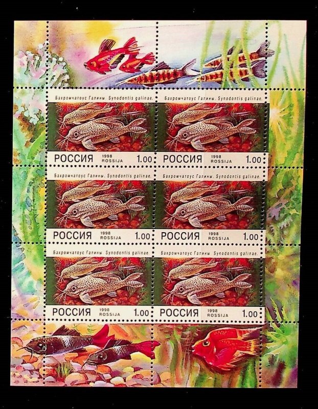 RUSSIA Sc 6443a NH MINISHEET OF 1998 - FISH - Sc$25