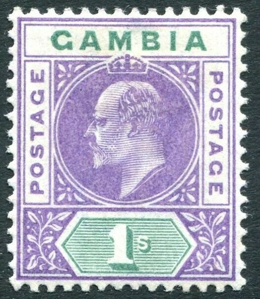 GAMBIA-1902 1/- Violet & Green Sg 52 MOUNTED MINT V32316