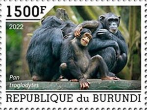 Burundi - 2022 Chimpanzees on Stamps - Stamp - BUR2201028a