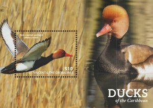 St. Vincent 2015 - Ducks of the Caribbean, Animal, Bird - Souvenir Sheet - MNH