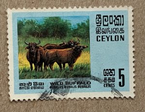 Ceylon 1970 Wildlife 5c water buffalo, used. Scott 439, CV $1.25. SG 561