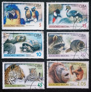 CUBA Sc# 4682-4687  ZOO ANIMALS raccoon bird feline CPL SET of 6 2007  used /cto